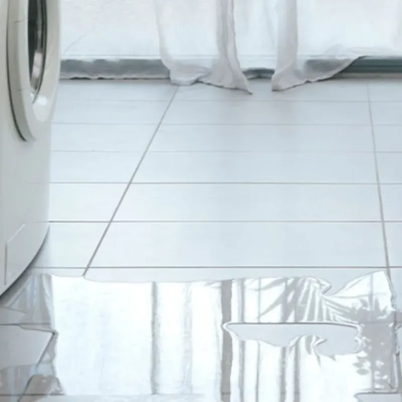 Appliance Leak Cleanup in Crystal Falls, MI