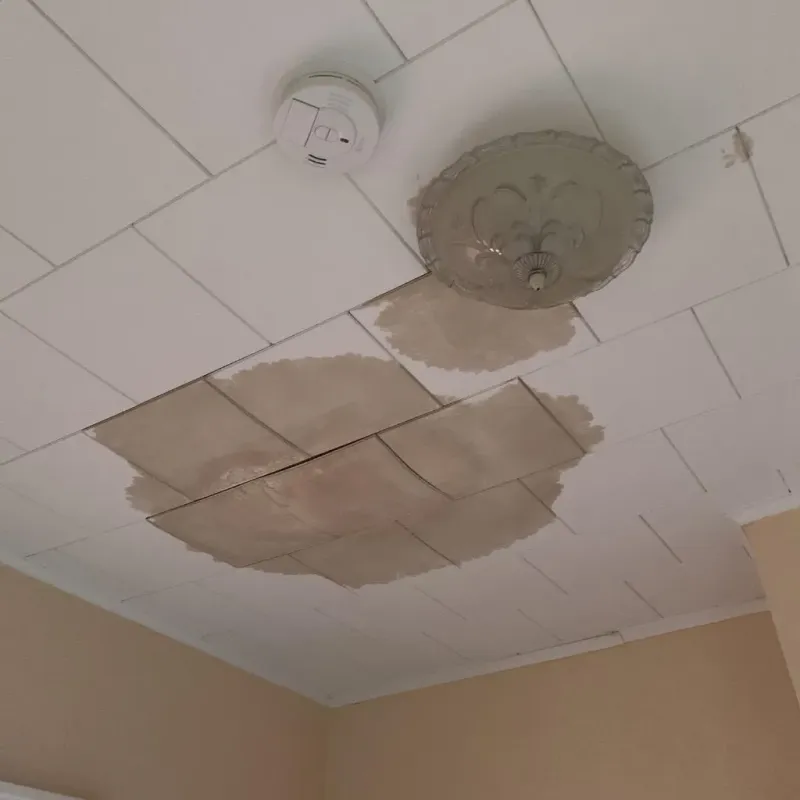 Ceiling Water Damage Repair in Crystal Falls, MI