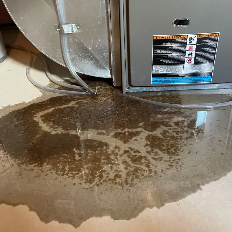 Pipe Burst and Leak Restoration in Crystal Falls, MI